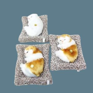 Sleeping Cat with sound